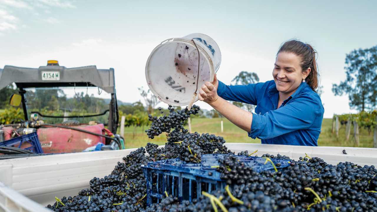 winemaker kate sturgess