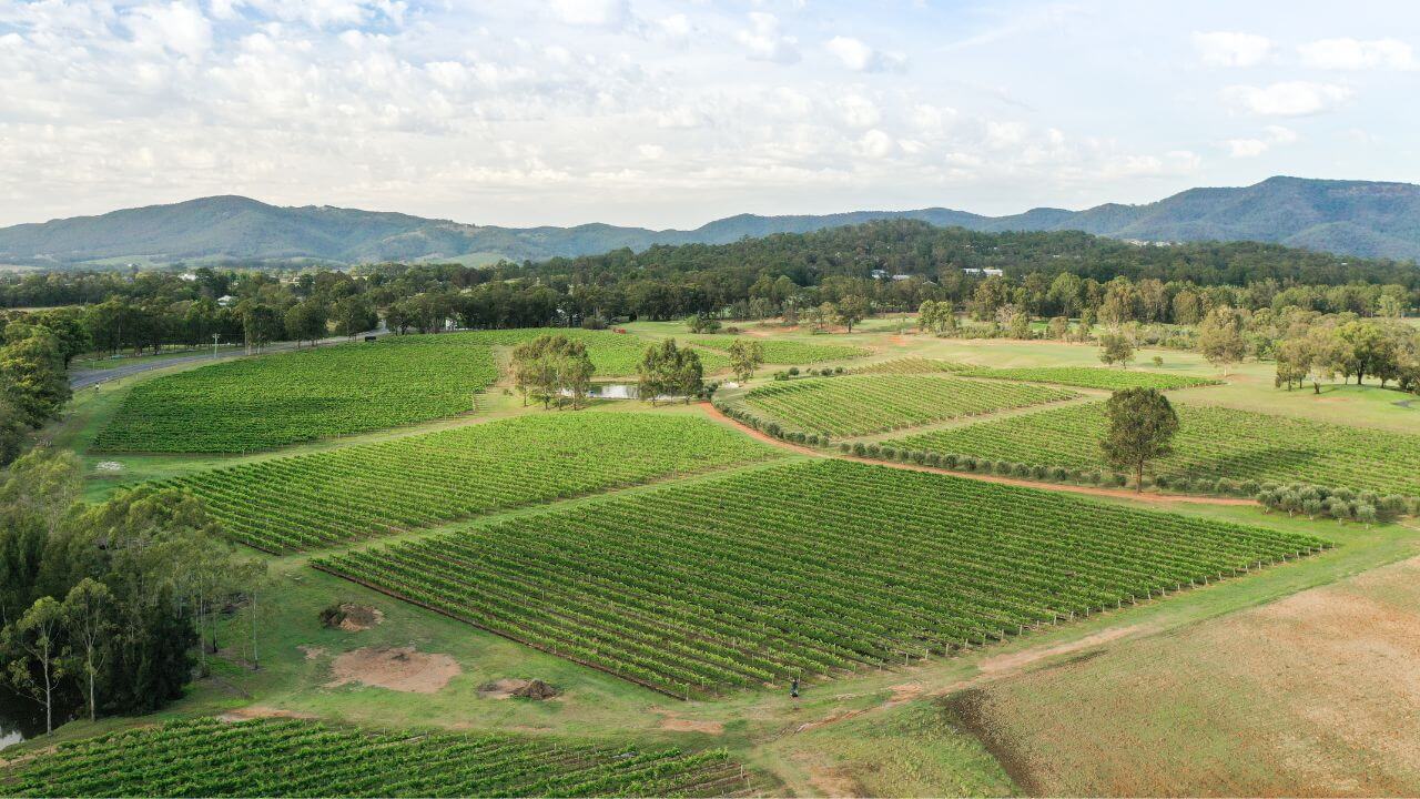 Hunter Valley scenery