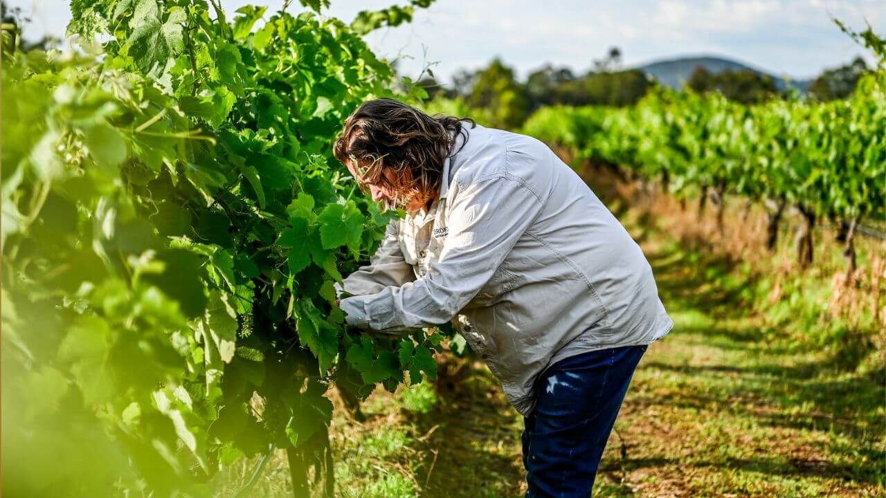Viticulturist Kat Barry in the vineyards