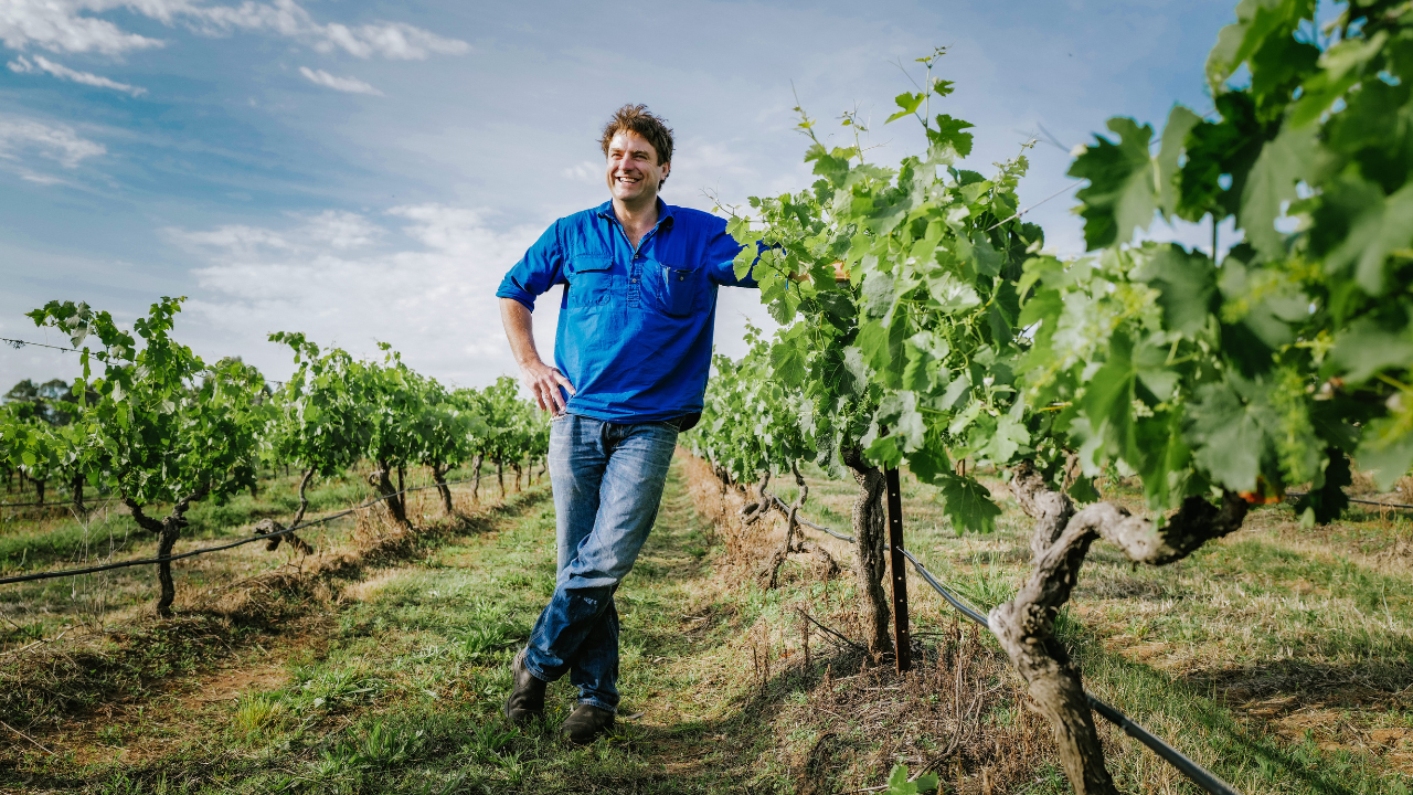 stuart-hordern-chief-winemaker