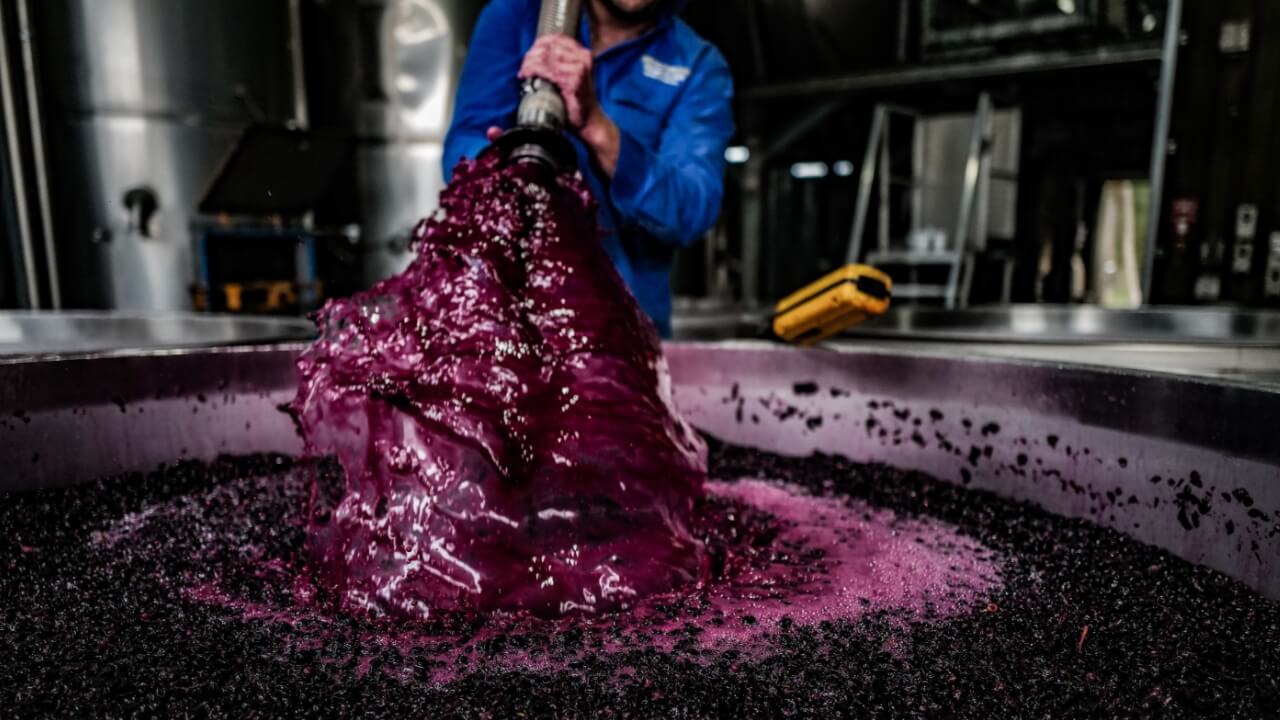 red wine being made at Brokenwood Wines