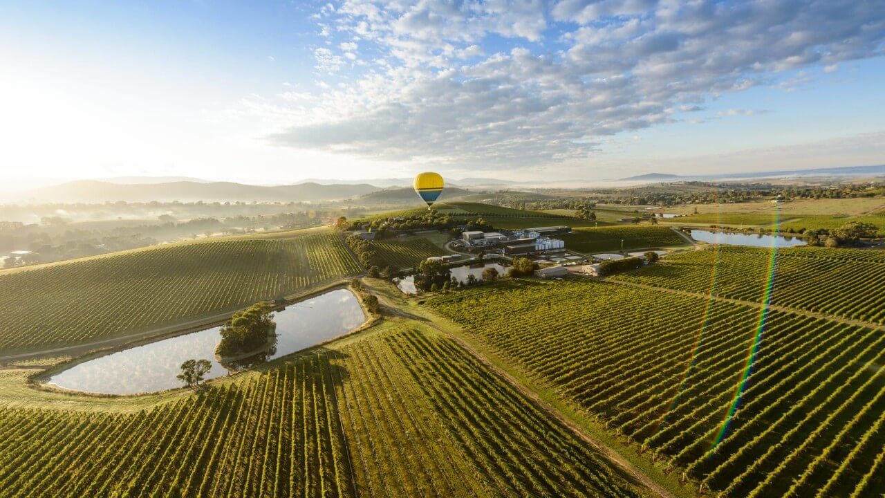 Hot air balloon over the Yarra Valley