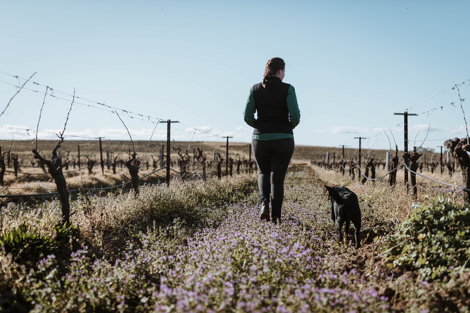 brokenwood-hunter-valley-sustainability