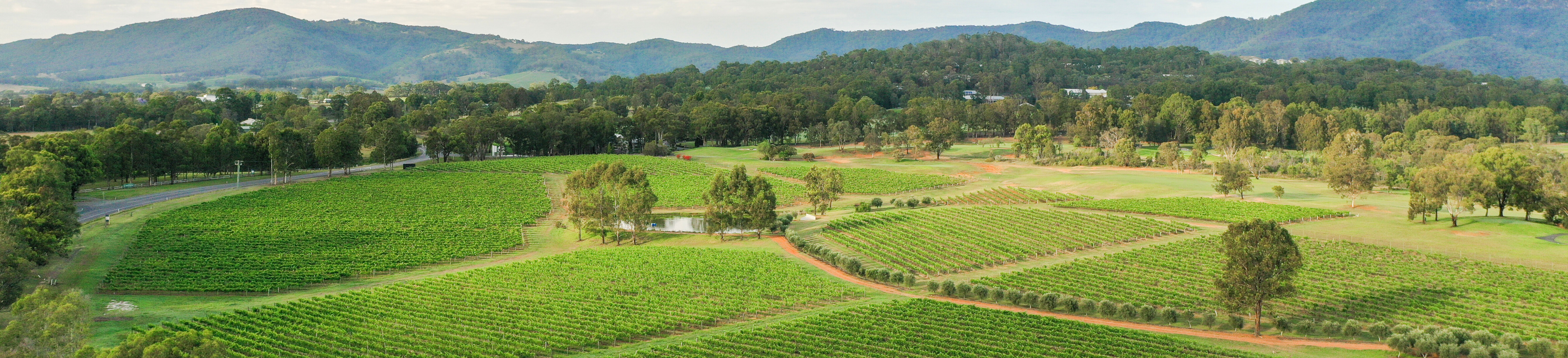 hunter-valley-vineyard