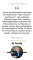 2024 Indigo Vineyard Pinot Noir - View 2