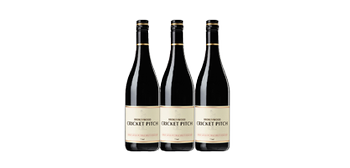 Cricket Pitch Red (6 pack)