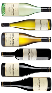SVC November Selection Mixed (12pack)